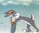 Image result for Bugs Bunny Florida