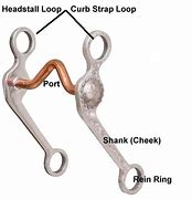 Image result for What Is a Curb Bit