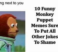 Image result for Funny Puppet Meme