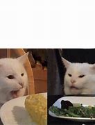 Image result for Yelling at Cat Meme