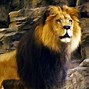Image result for Zookeeper Joe