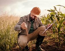 Image result for agronkm�a