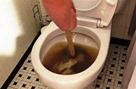 Image result for Bathroom Clogged Toilet