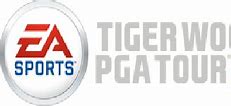 Image result for Tiger Woods PGA Tour 13 Logo