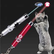 Image result for Cats and Laser Pointers