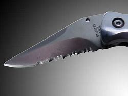 Image result for Forever Sharp Knife