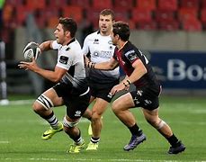 Image result for co_to_znaczy_zebre_rugby