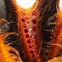 Image result for Female Funnel Web Spider