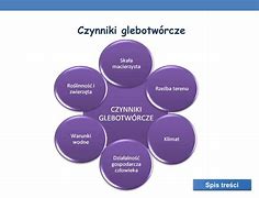 Image result for czynniki_glebotwórcze
