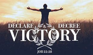 Image result for declare victory