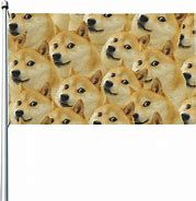 Image result for Doge Flag