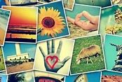 Image result for Instagram Collage Ideas