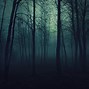 Image result for Horror Forest