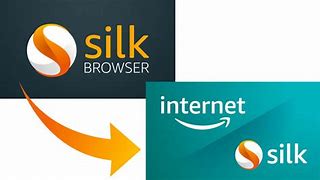 Image result for Amazon Silk