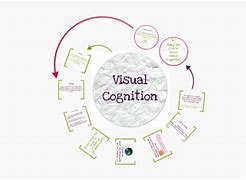 Image result for Visual Cognition