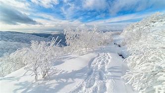 Image result for Russia Snow