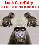 Image result for Ape Jokes