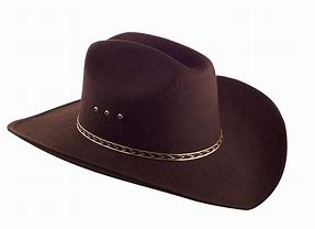 Image result for Brown Felt Cowboy Hat