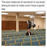 Image result for Serotonin Meme