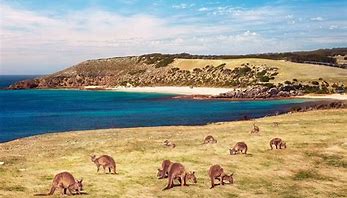 Image result for Kangaroo Island, Australia