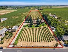 Image result for 17036 N. Locust Tree Rd., Lodi, CA 95240 United States