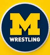 Image result for Michigan Wrestling