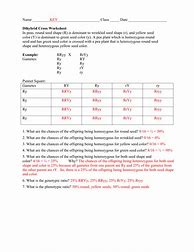 Image result for Dihybrid Worksheet with Answer Key