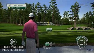 Image result for Tiger Woods PGA Tour 13