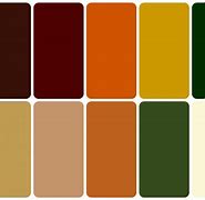 Image result for Earth Terracotta Color Palette