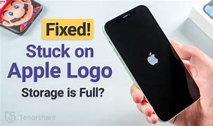 Image result for iPhone Frozen On Apple Logo
