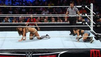 Image result for Nikki Bella vs AJ Lee