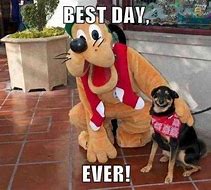 Image result for Best Day Ever Crying Meme