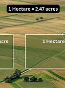 Image result for What Is a Hectare of Land