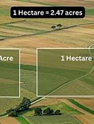 Image result for How Big Is 1 Hectare