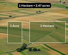 Image result for How Big Is 1 Hectare