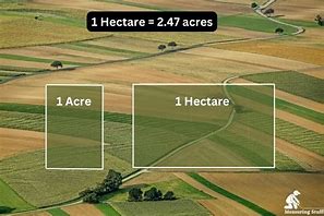 Image result for How Big Is 2 Acres Visually