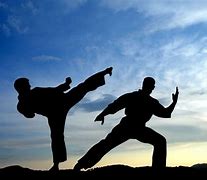 Image result for Free Martial Arts Pictures