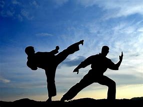 Image result for Striking Martial Arts