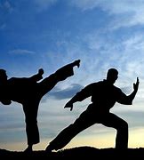 Image result for Martial Arts Dojo Background