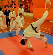 Image result for Judo Deti