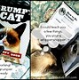 Image result for Grumpy Cat Book