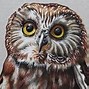 Image result for Amazing Realistic Pencil Drawings
