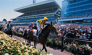 Image result for Melbourne Cup Fun