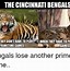 Image result for Angry Aaron Donald Bengals Memes