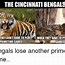 Image result for Thank You Bengals Meme