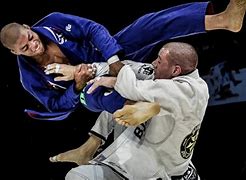Image result for Brazilian Jiu Jitsu Techniques