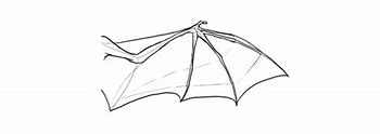 Image result for How to Draw Bat Wings