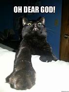 Image result for Cat God Funny