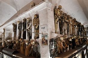 Image result for Cappuccio Italy Mummies