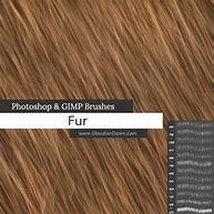 Image result for Fur Brush Photoshop
